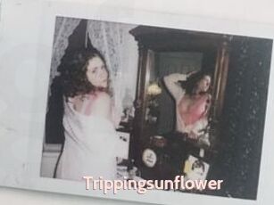 Trippingsunflower