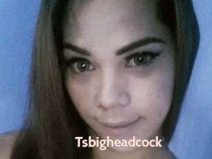 Tsbigheadcock
