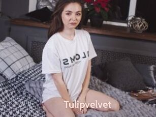 Tulipvelvet