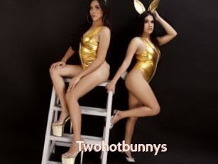 Twohotbunnys