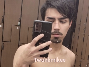 Twunkmikee