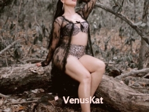 VenusKat