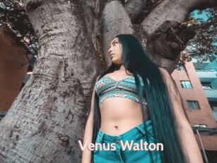 Venus_Walton