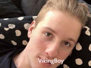 VikingBoy