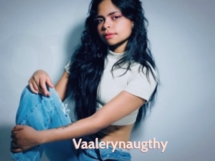 Vaalerynaugthy