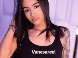 Vanesareel