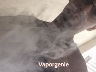 Vapor_genie