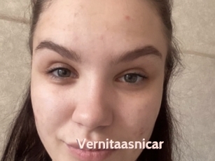 Vernitaasnicar