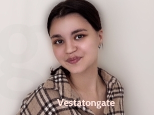 Vestatongate