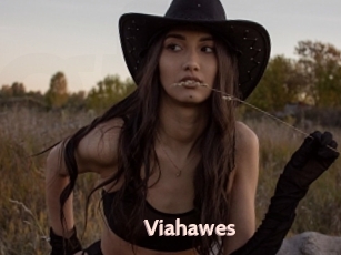 Viahawes