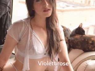 Violett_rose