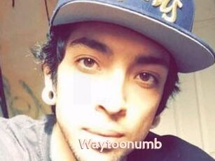Waytoonumb