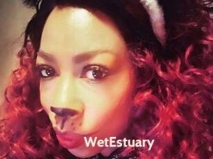 WetEstuary