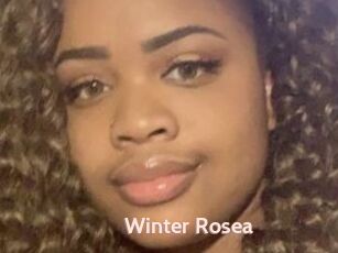Winter_Rosea