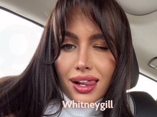 Whitneygill