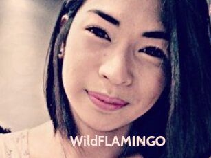 WildFLAMINGO