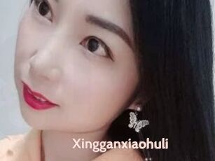 Xingganxiaohuli