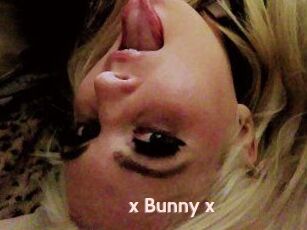 _x_Bunny_x_