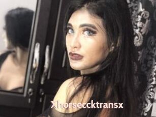 Xhorseccktransx
