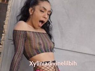 Xyliniadivinelilbih
