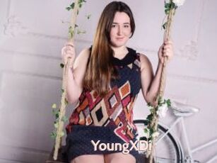 YoungXDi