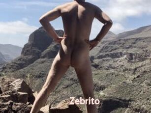 Zebrito
