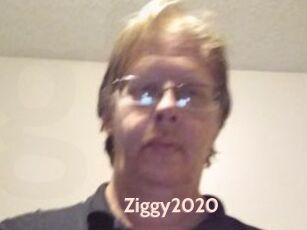 Ziggy2020