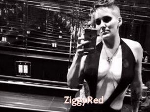 ZiggyRed