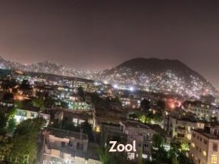 Zool