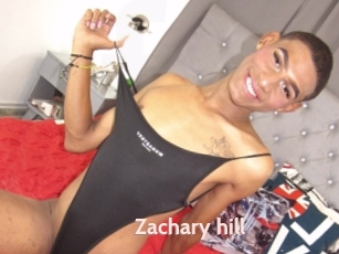 Zachary_hill